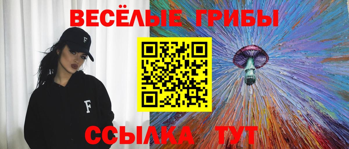 Галлюциногенные грибы Magic Shrooms  Вход с VPN  Холмск  где продают наркотики  Псилоцибиновые грибы Cubensis 