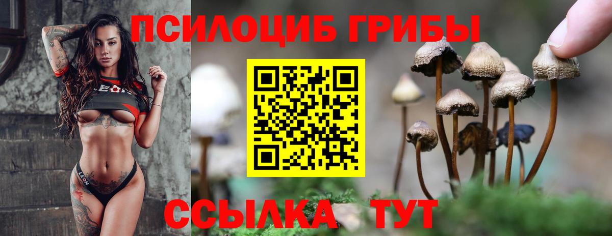 Галлюциногенные грибы мицелий Холмск